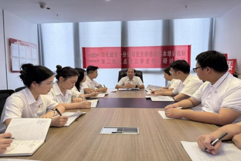 中國(guó)化學(xué)四化建基層黨組織落實(shí)基本培訓(xùn)機(jī)制第二批試點(diǎn)第三季度學(xué)習(xí)研討②
